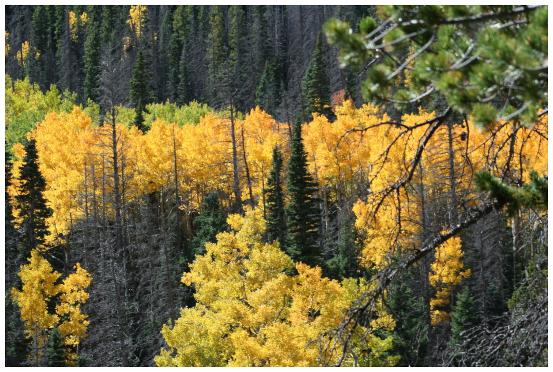 Main image Mountain Valley In Fall 03