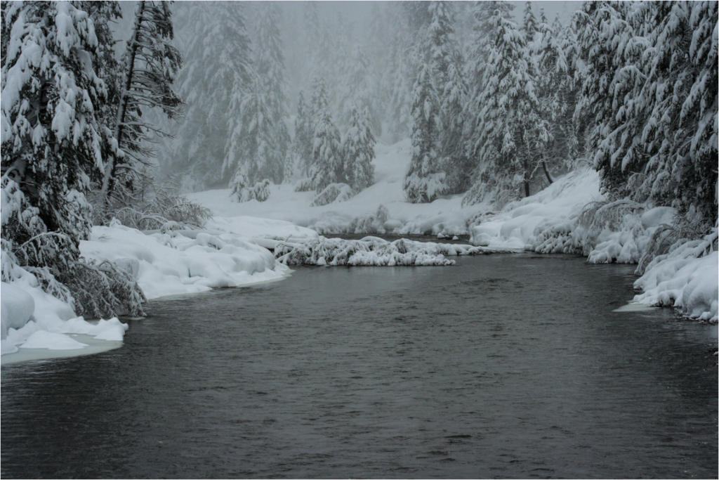 Main image Winter in Tahoe stream 09