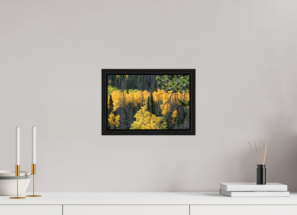 12 x 8″, Floater Frame Mountain Valley In Fall 03
