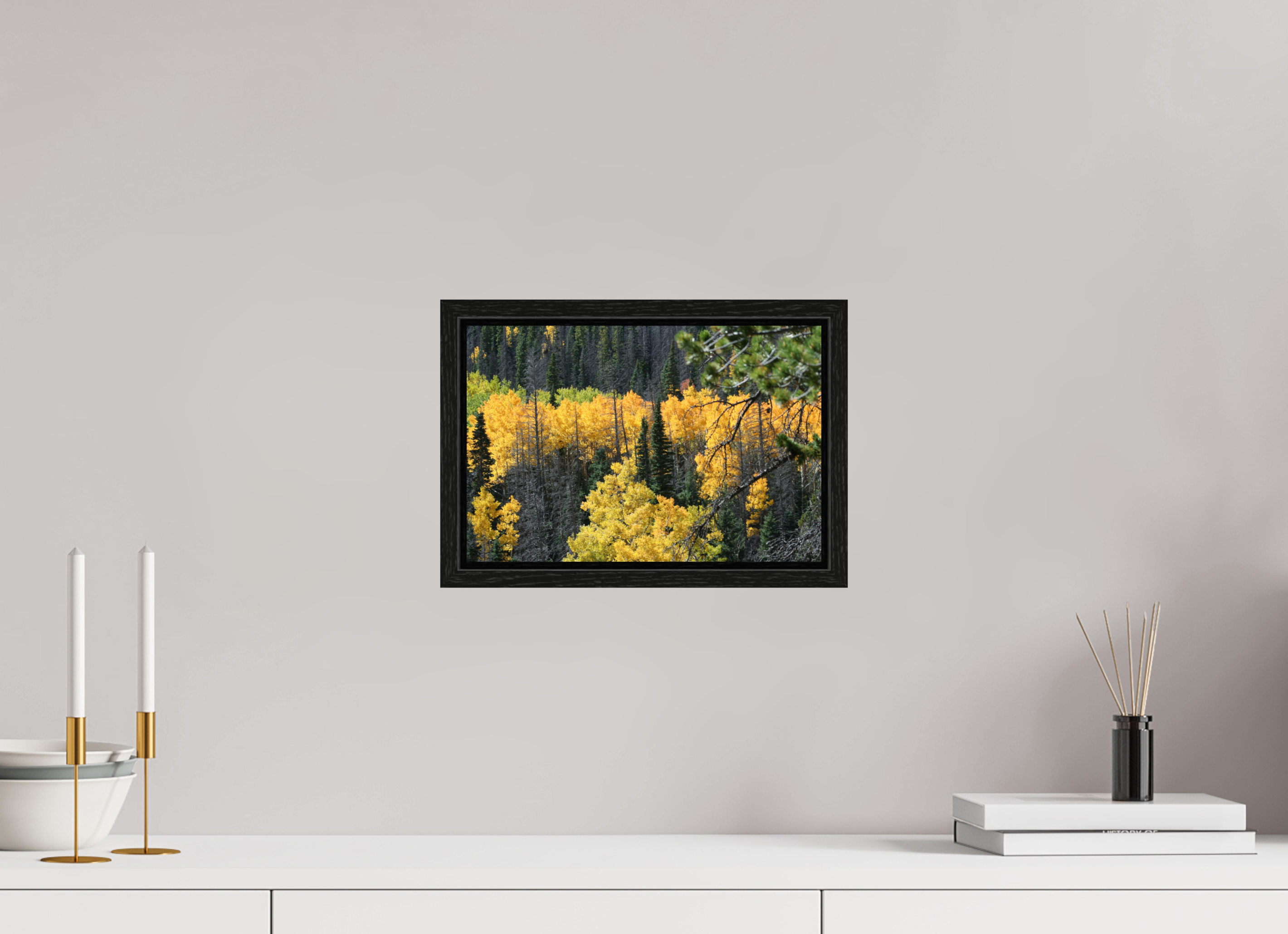 12 x 8″, Floater Frame Mountain Valley In Fall 03