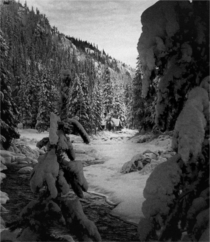 Main image Winter in Tahoe stream 03