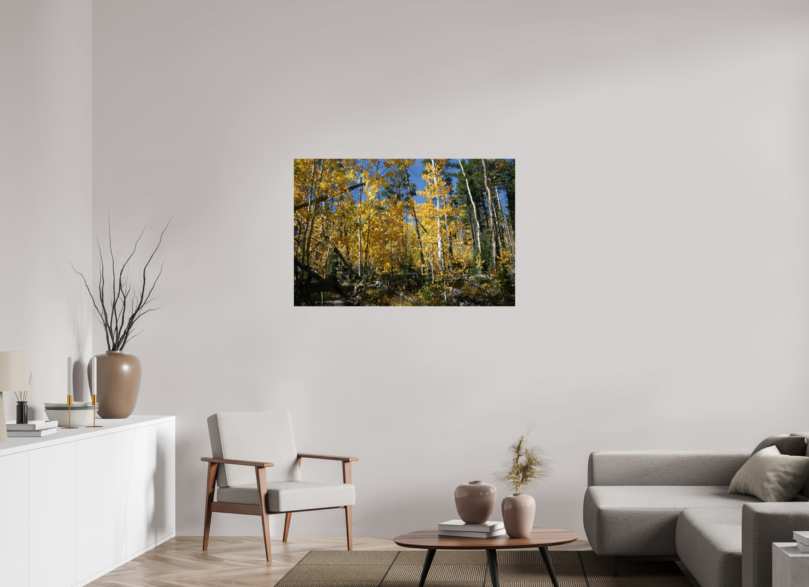 45 x 30″, Photo Print with Protective Lamination Fall Aspens 03 - Horizontal