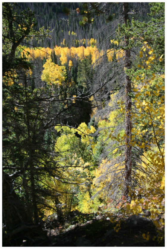 Main image Mountain Valley in Fall 01 - Vertical