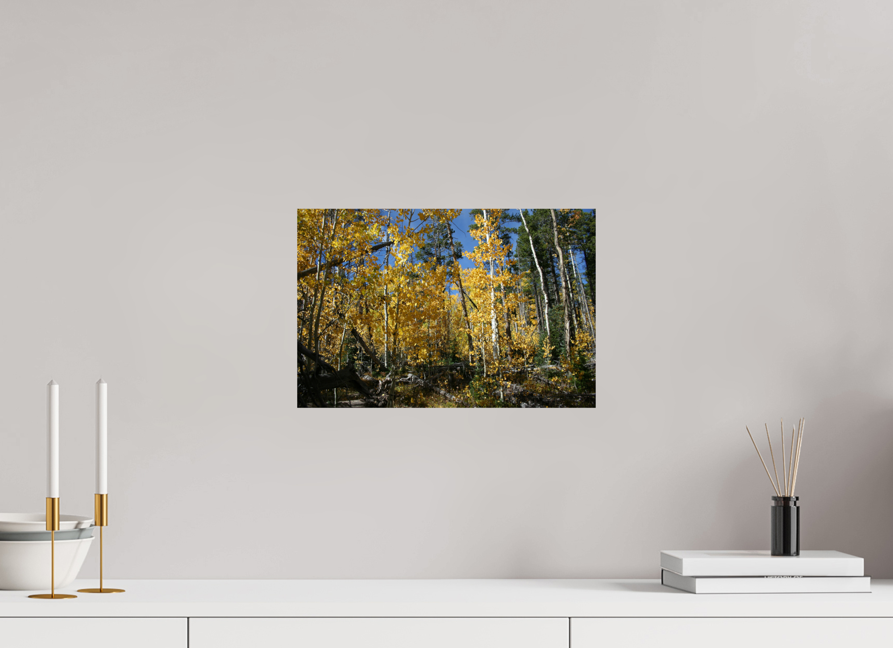15 x 10″, Photo Print On Fuji Crystal DP II Fall Aspens 03 - Horizontal