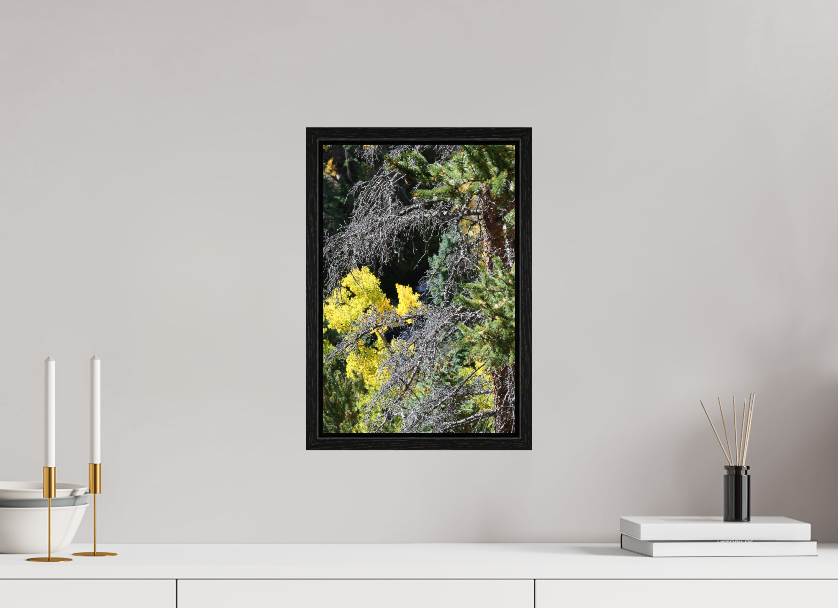 10 x 15″, Floater Frame Tree Close-up 01