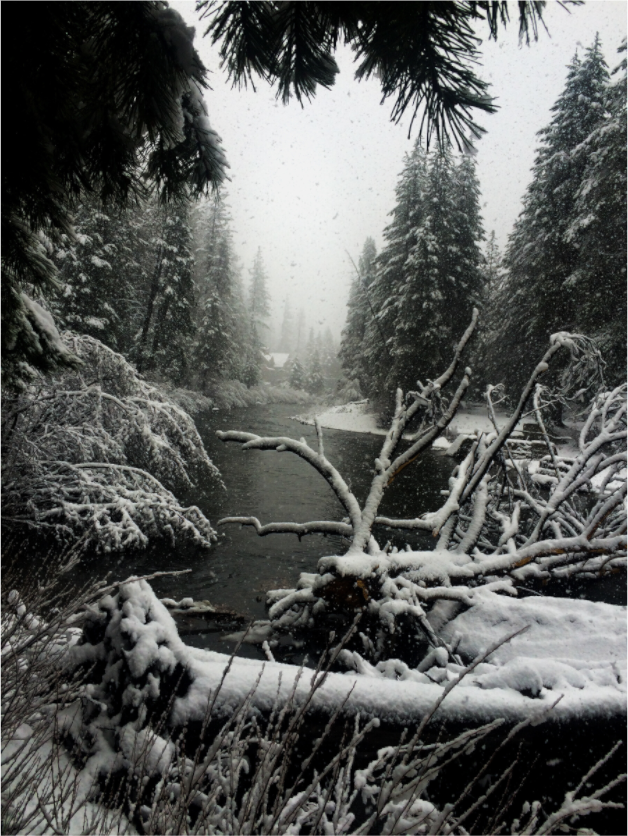 Main image Winter in Tahoe stream 06