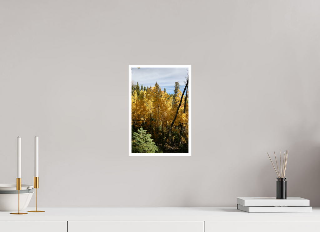 8 x 12″, Standard Yellow Aspen 01