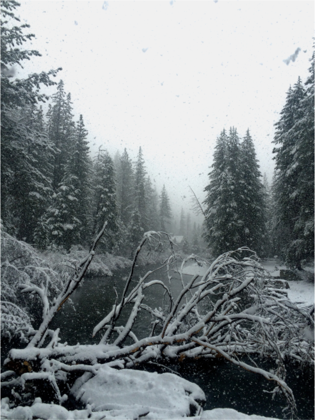 Main image Winter in Tahoe stream 05