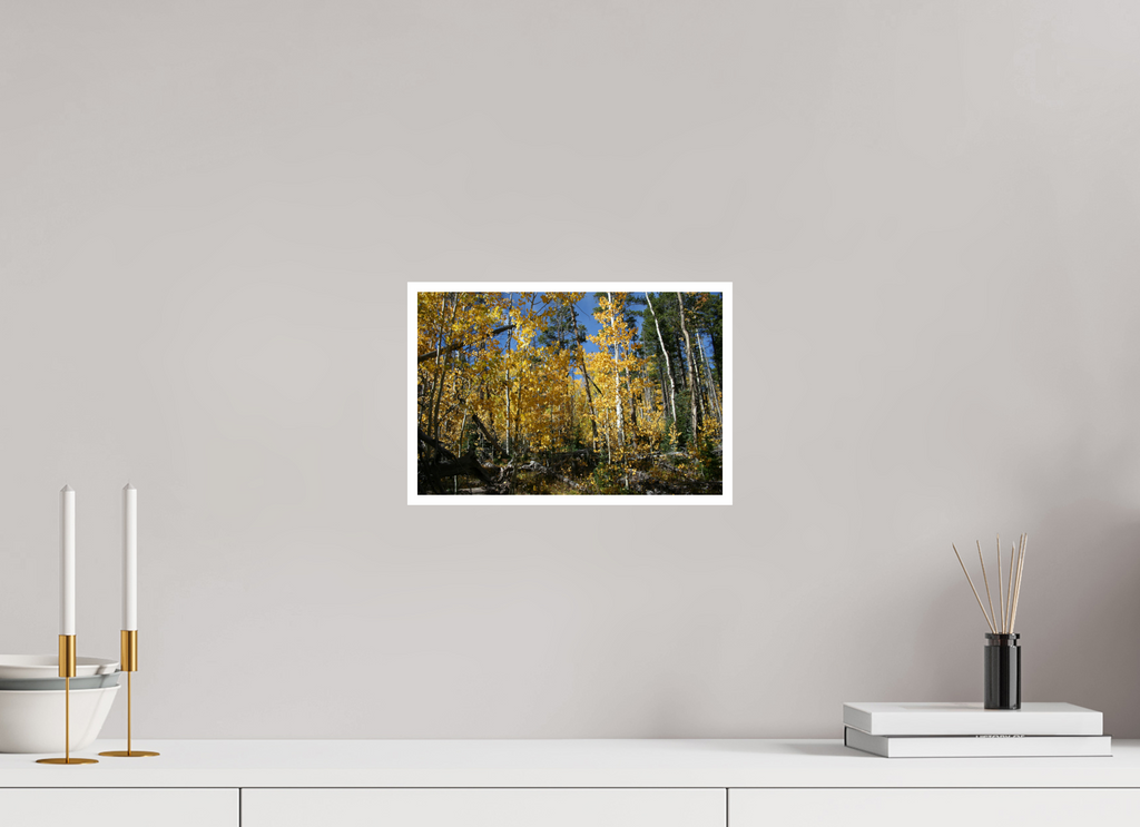 12 x 8″, Standard Fall Aspens - Horizontal