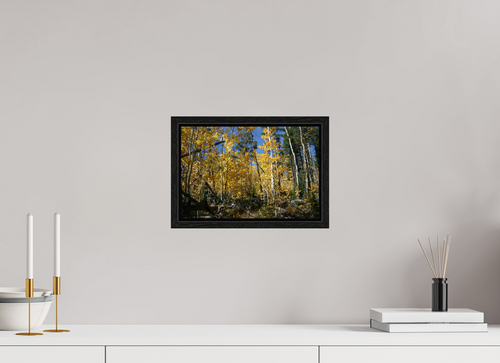 12 x 8″, Floater Frame Fall Aspens 03 - Horizontal