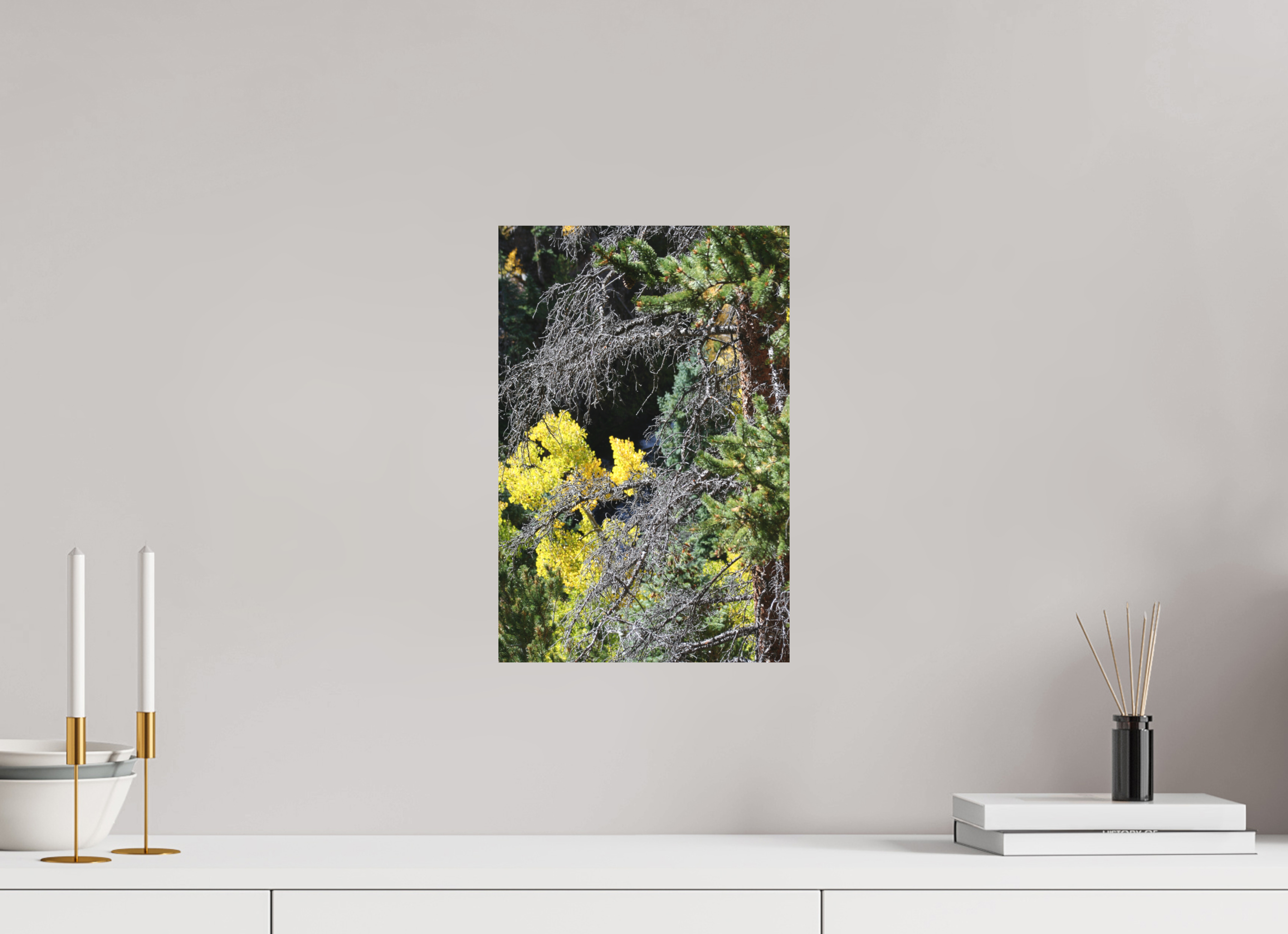 10 x 15″, Direct Print on Aluminum Dibond Tree Close-up 01