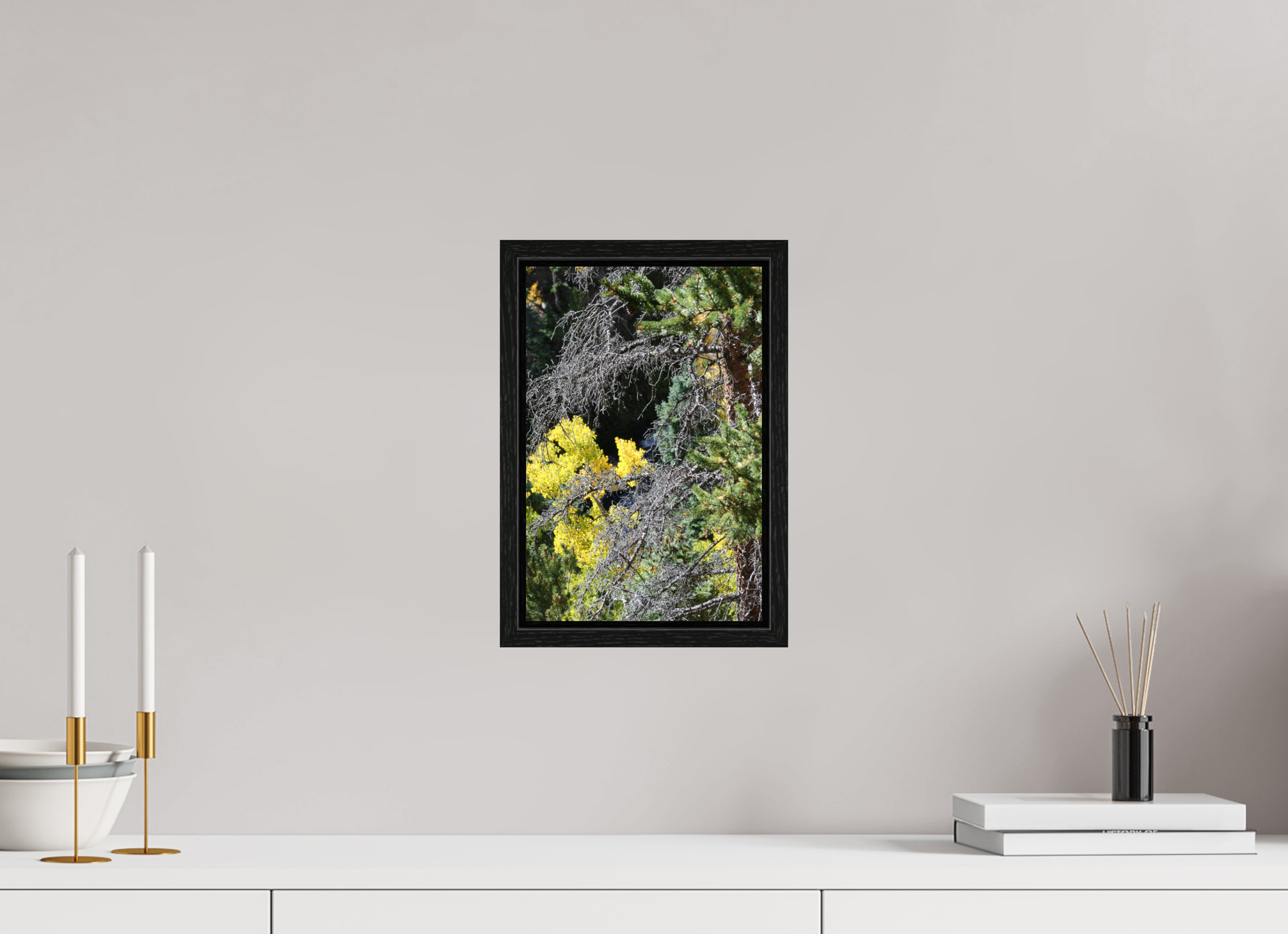 8 x 12″, Floater Frame Tree Close-up 01