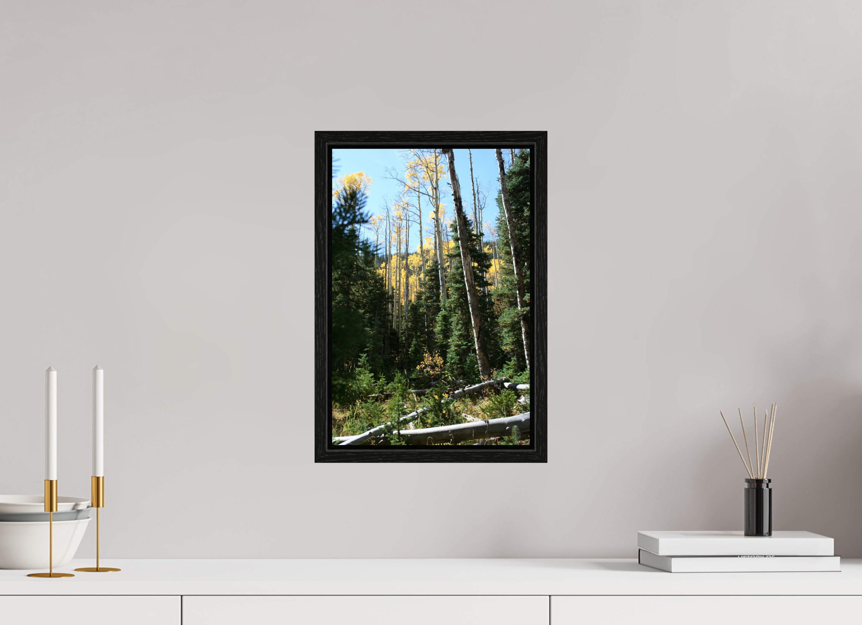 10 x 15″, Floater Frame Fall Hike in Colorado