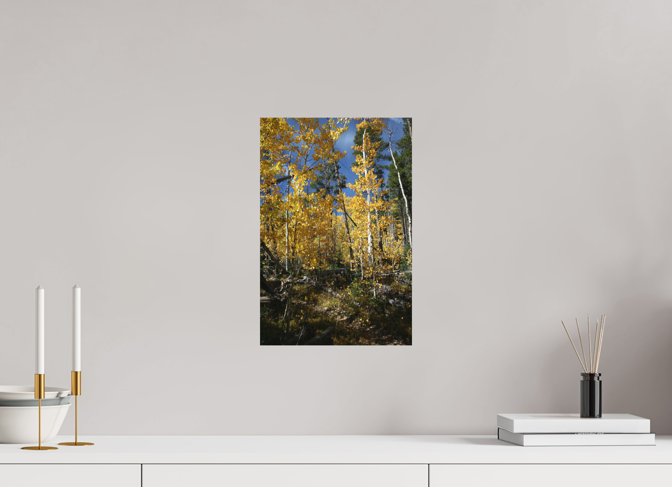 10 x 15″, Direct Print on Aluminum Dibond Fall Aspens 02 - Vertical image