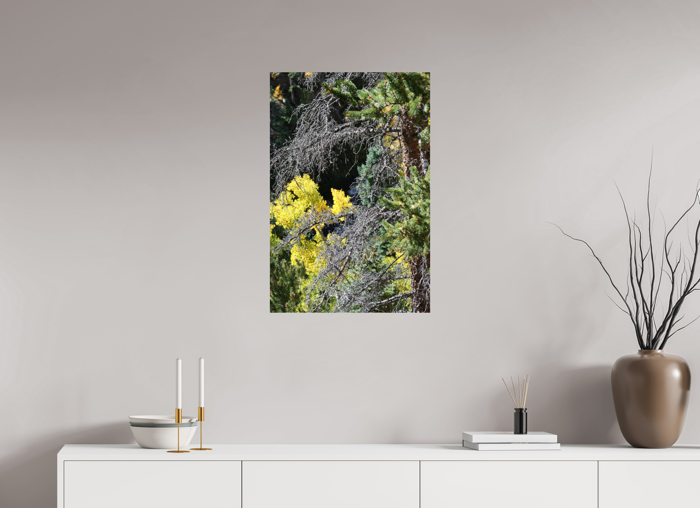20 x 30″, Photo Print with Protective Lamination Tree Close-up 01