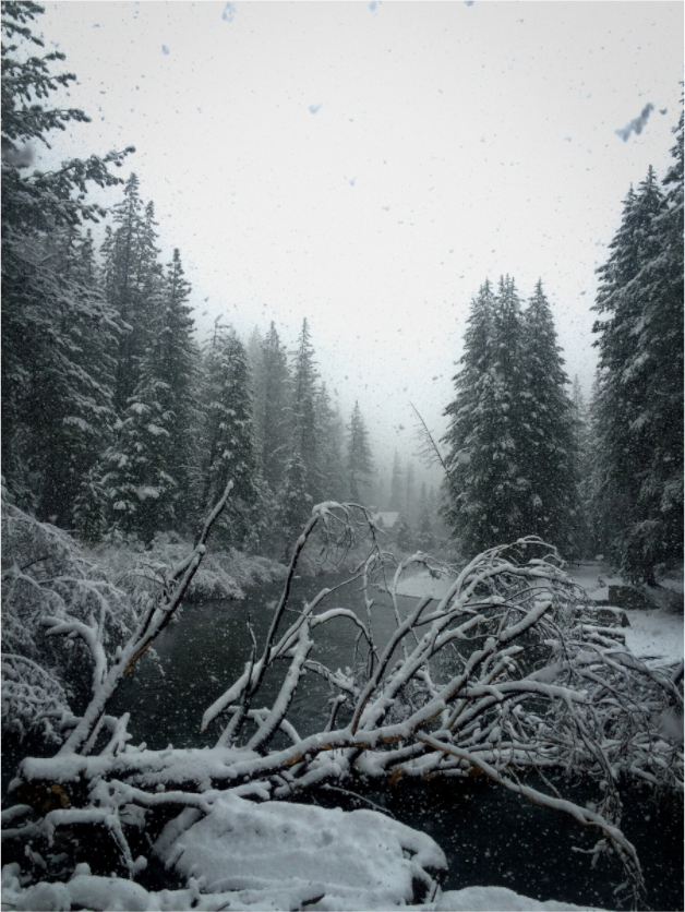 Main image Winter in Tahoe stream 08