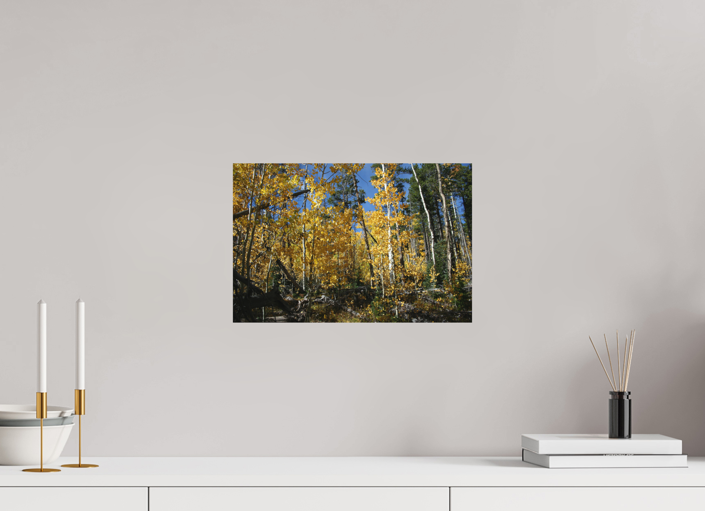 15 x 10″, Direct Print on Aluminum Dibond Fall Aspens 03 - Horizontal