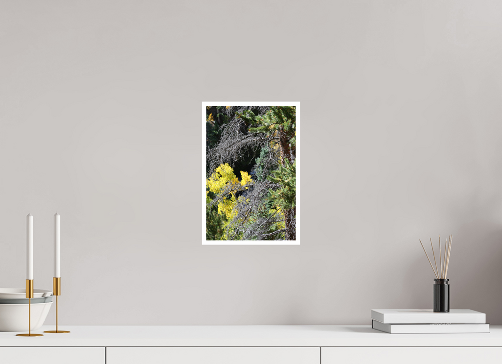 8 x 12″, Standard Tree Close-up 01