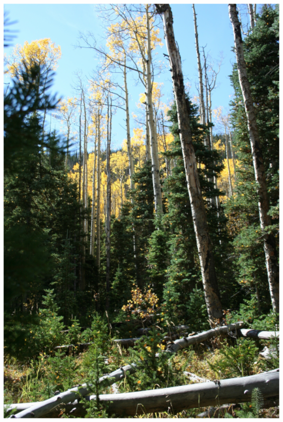 Main image Fall Hike in Colorado