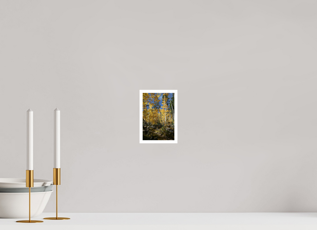4 x 6″, Standard Fall Aspens - Vertical image