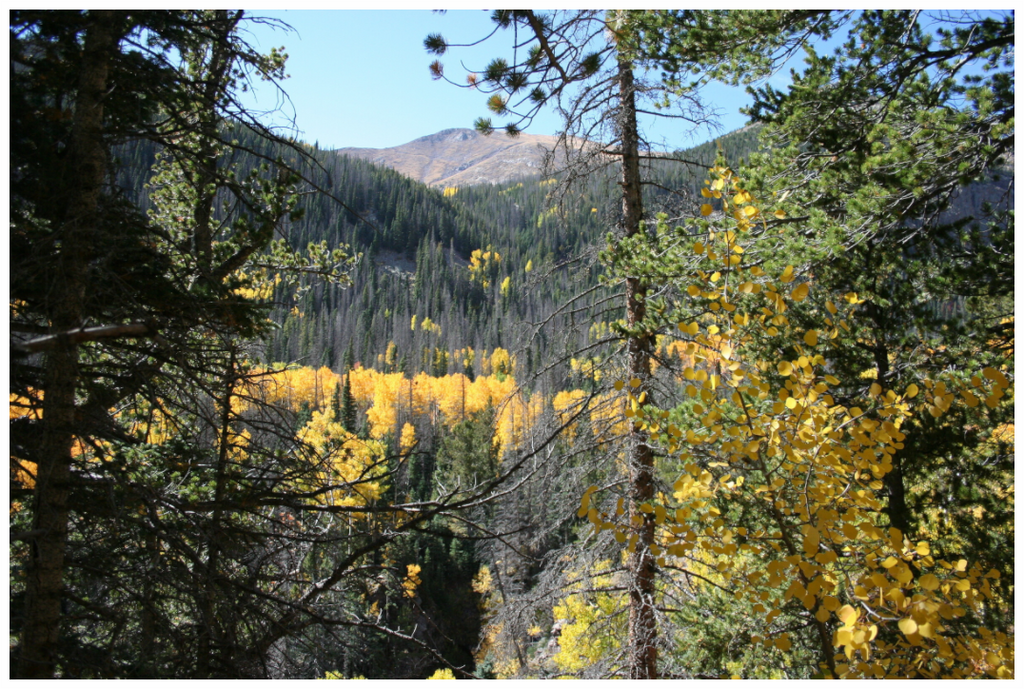 Main image Mountain Valley in fall 02