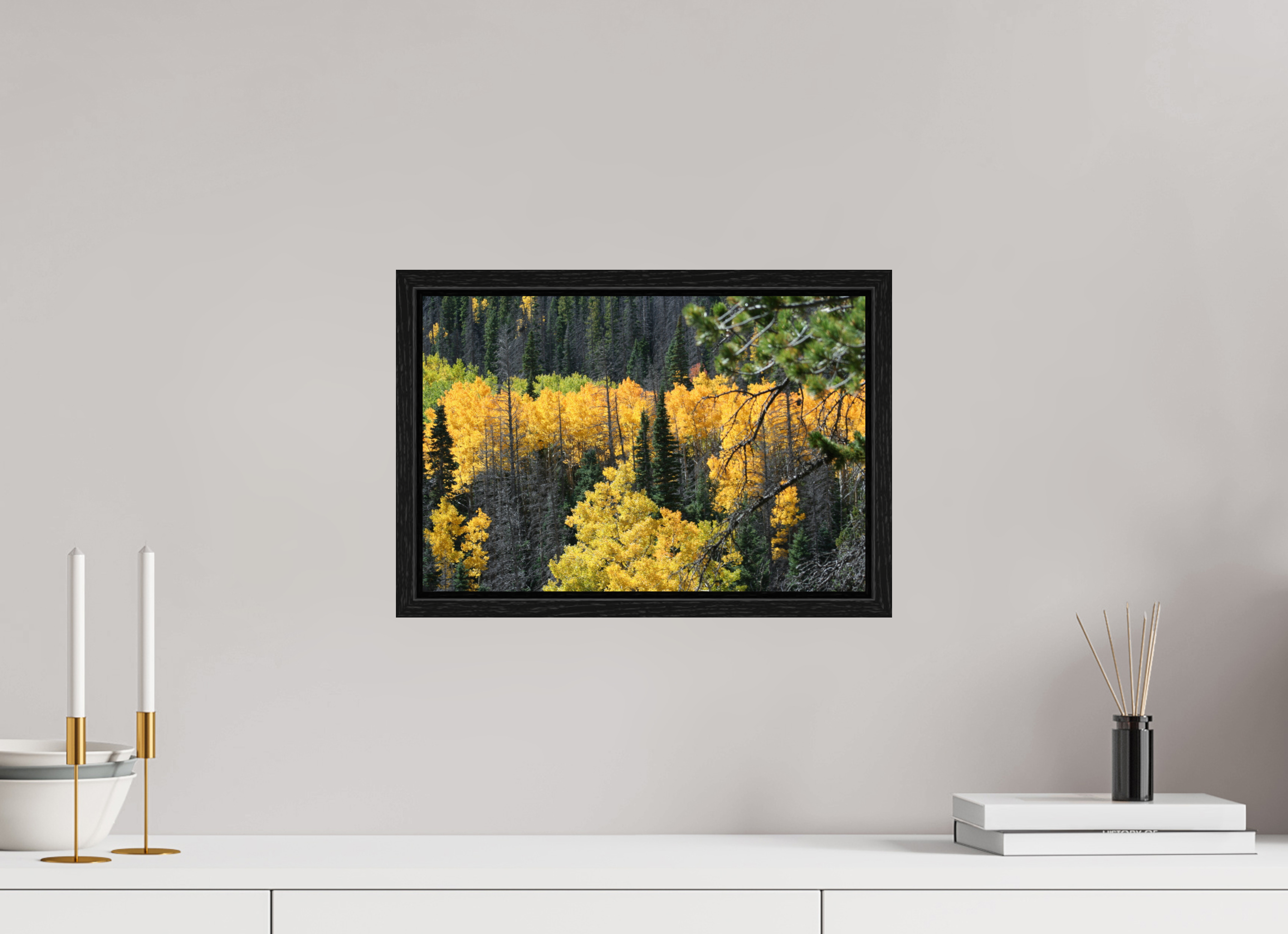 15 x 10″, Floater Frame Mountain Valley In Fall 03