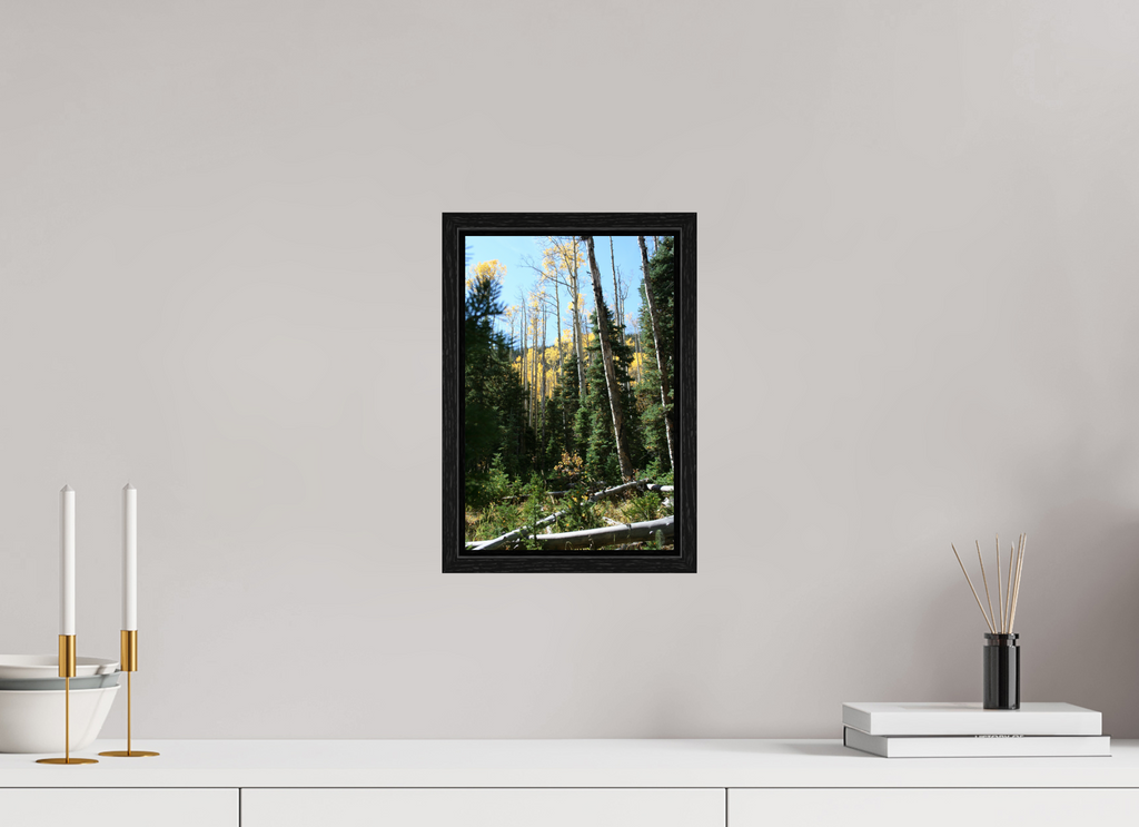 8 x 12″, Floater Frame Fall Hike in Colorado